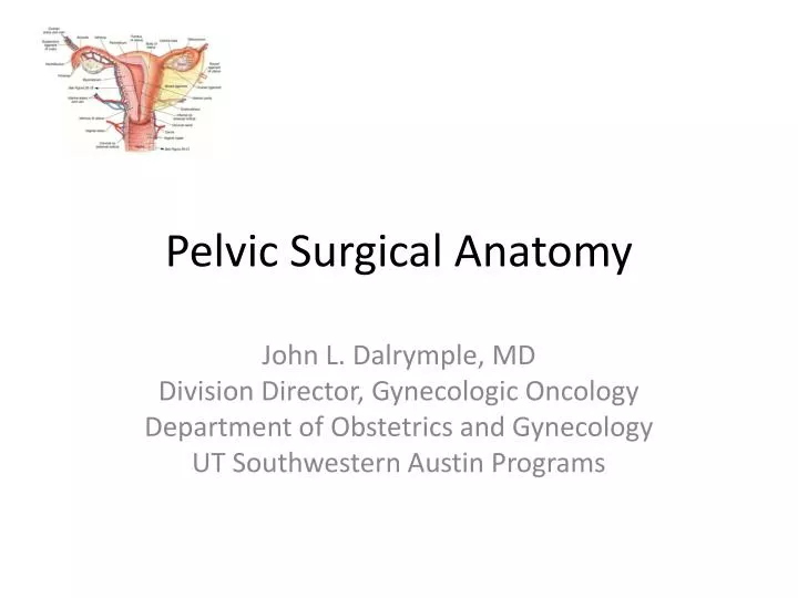 pelvic surgical anatomy
