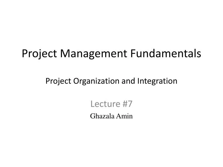 project management fundamentals project organization and integration