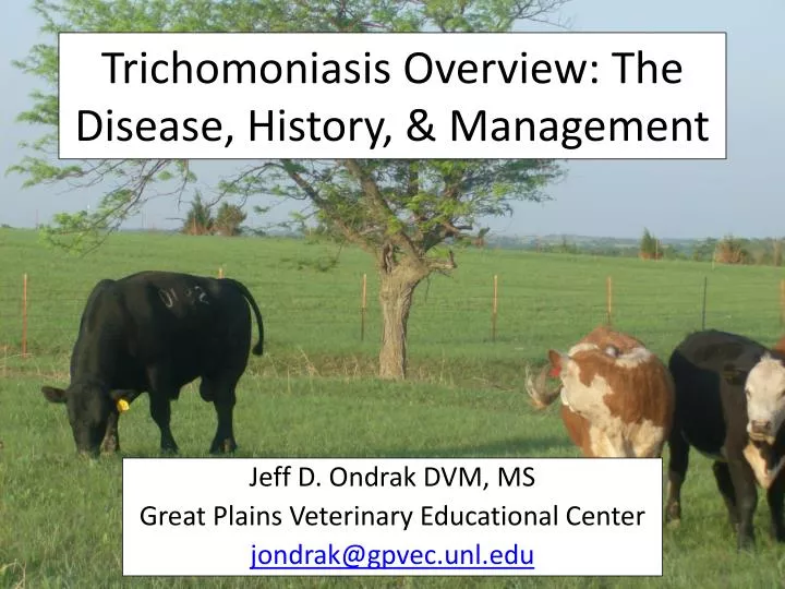 trichomoniasis overview the disease history management
