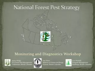 National Forest Pest Strategy