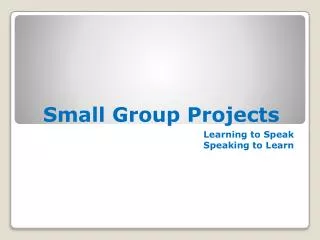 Small Group Projects