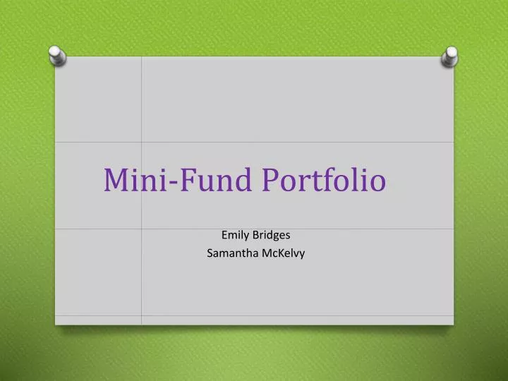 mini fund portfolio
