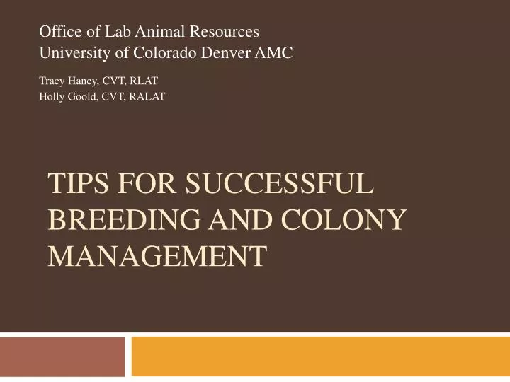 tips for successful breeding and colony management