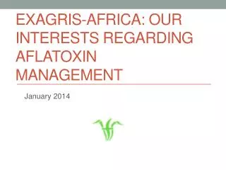 EXAGRIS-AFRICA: our interests regarding aflatoxin management