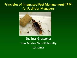Dr. Tess Grasswitz New Mexico State University Los Lunas