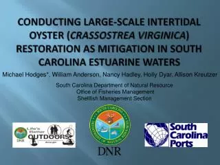 Conducting Large-Scale Intertidal Oyster ( Crassostrea virginica ) Restoration as Mitigation in South Carolina Estuarine
