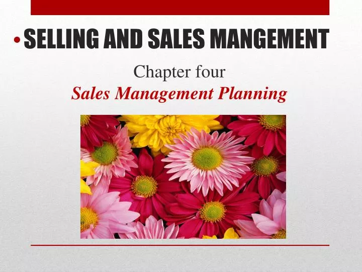 chapter four sales management planning
