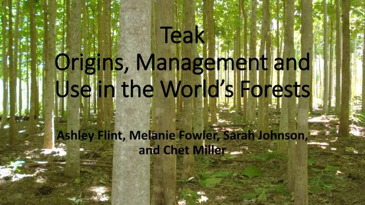 teak origins management and use in the world s forests
