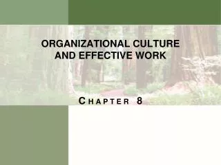 ORGANIZATIONAL CULTURE AND EFFECTIVE WORK
