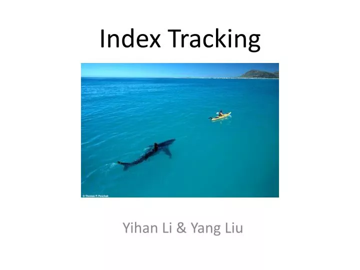 index tracking