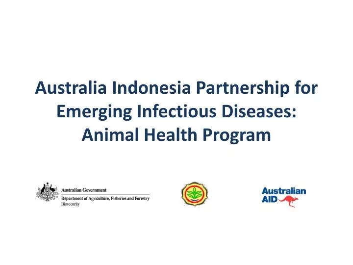 australia indonesia partnership for emerging infectious diseases animal health program