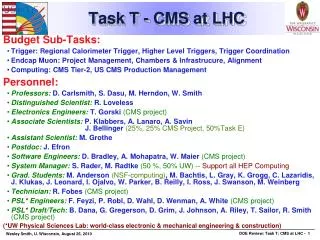 Task T - CMS at LHC