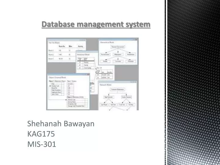 database management system