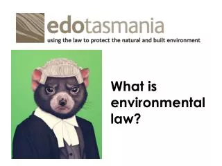 What is environmental law?