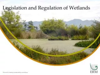 Legislation and Regulation of Wetlands