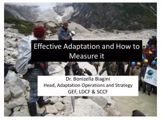Effective Adaptation and How to Measure it