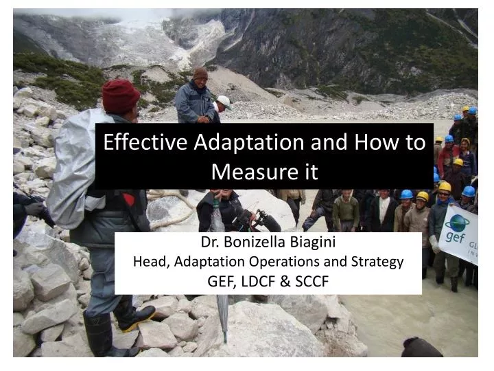 effective adaptation and how to measure it