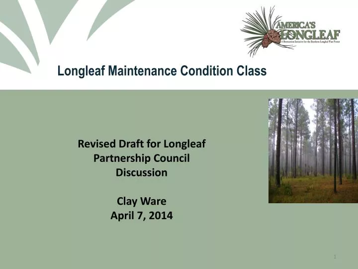 longleaf maintenance condition class