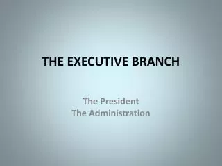 the executive branch