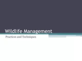 Wildlife Management