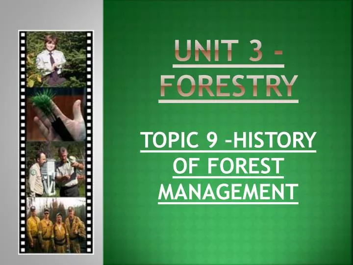 unit 3 forestry