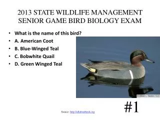 2013 STATE WILDLIFE MANAGEMENT SENIOR GAME BIRD BIOLOGY EXAM
