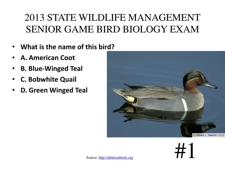 2013 state wildlife management senior game bird biology exam