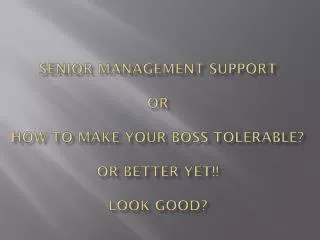 Senior Management Support or How to make your boss tolerable? Or better yet!! Look good?