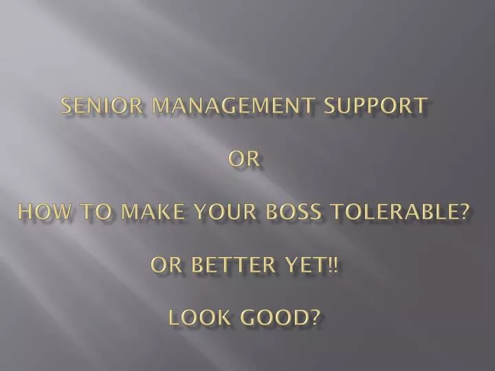 senior management support or how to make your boss tolerable or better yet look good