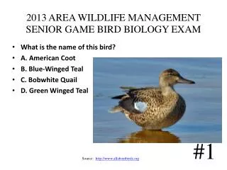 2013 AREA WILDLIFE MANAGEMENT SENIOR GAME BIRD BIOLOGY EXAM