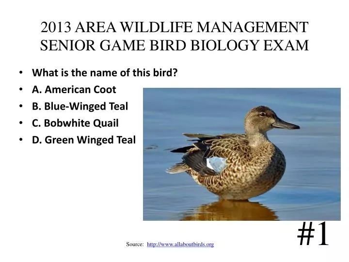 2013 area wildlife management senior game bird biology exam