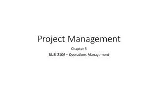project management