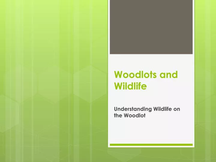 woodlots and wildlife