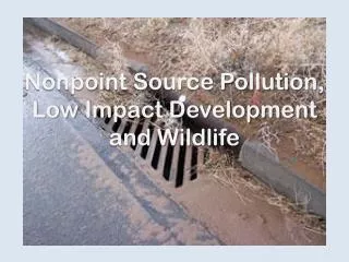 Nonpoint Source Pollution, Low Impact Development and Wildlife