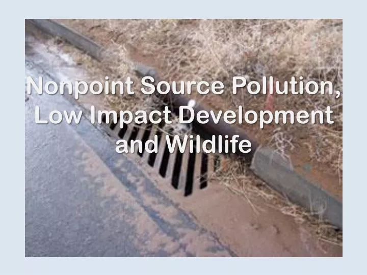 nonpoint source pollution low impact development and wildlife
