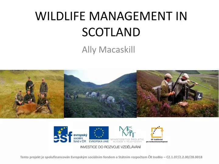 wildlife management in scotland