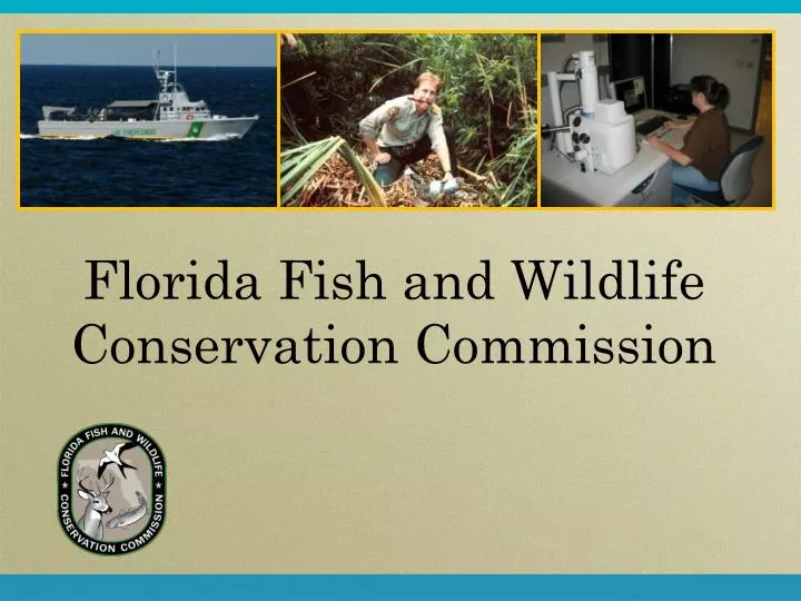 florida fish and wildlife conservation commission