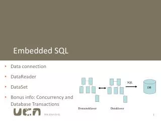 Embedded SQL