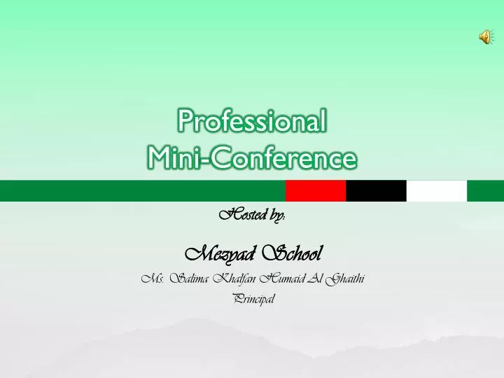 professional mini conference