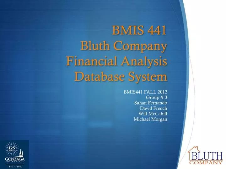 bmis 441 bluth company financial analysis database system