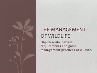 The management of wildlife
