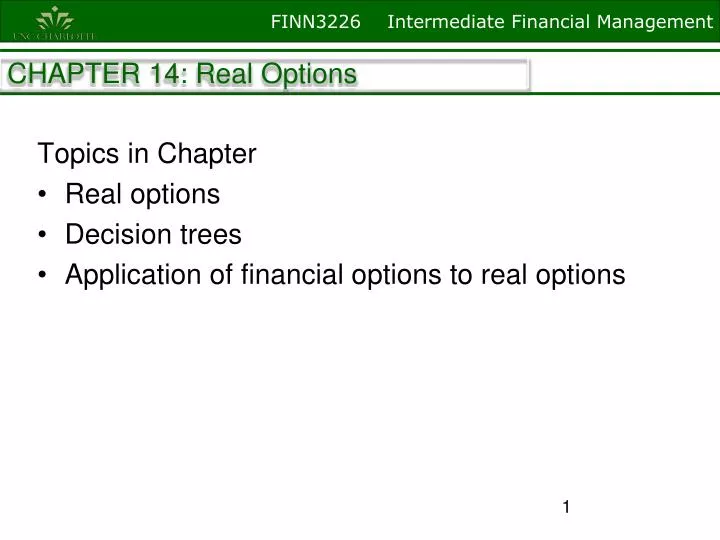 chapter 14 real options