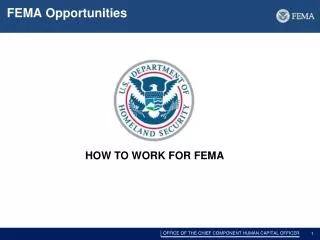 FEMA Opportunities