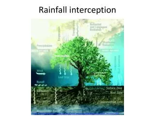 Rainfall interception