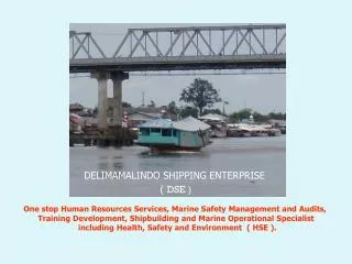 DELIMAMALINDO SHIPPING ENTERPRISE ( DSE )