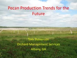 Pecan Production Trends for the Future