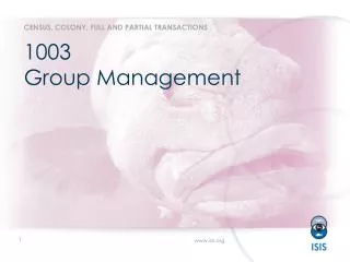 1003 Group Management