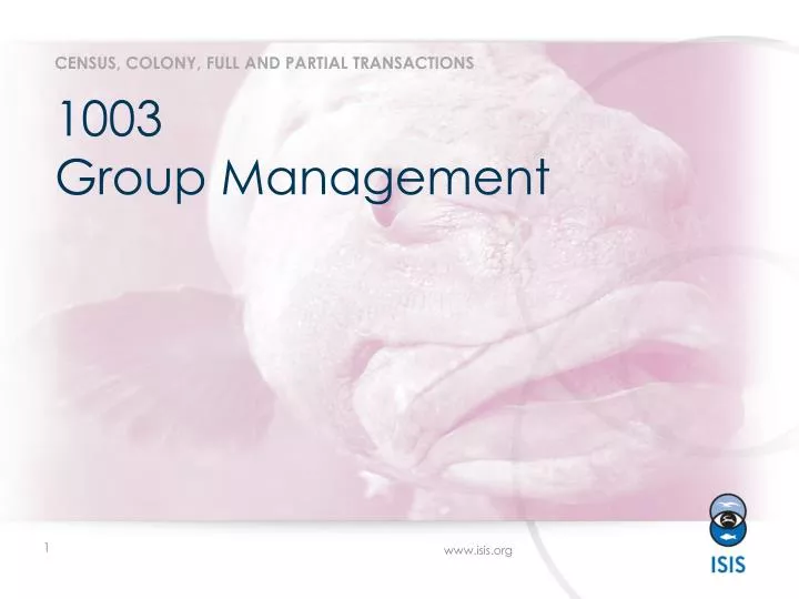 1003 group management