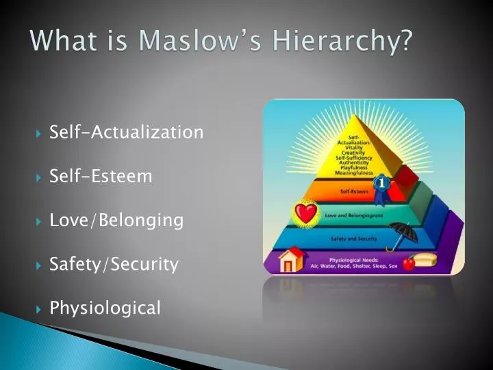 what is maslow s hierarchy