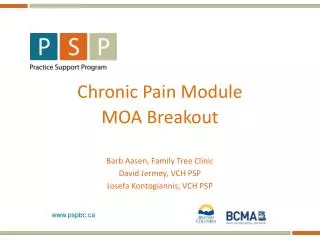 Chronic Pain Module MOA Breakout Barb Aasen , Family Tree Clinic David Jermey , VCH PSP Josefa Kontogiannis , VCH PSP